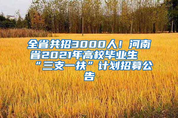 全省共招3000人！河南省2021年高校毕业生“三支一扶”计划招募公告