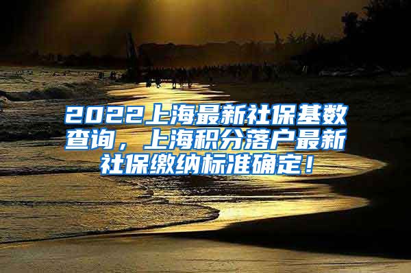 2022上海最新社保基数查询，上海积分落户最新社保缴纳标准确定！