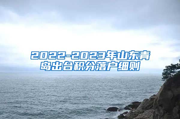 2022-2023年山东青岛出台积分落户细则