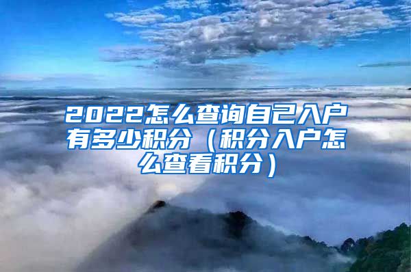 2022怎么查询自己入户有多少积分（积分入户怎么查看积分）