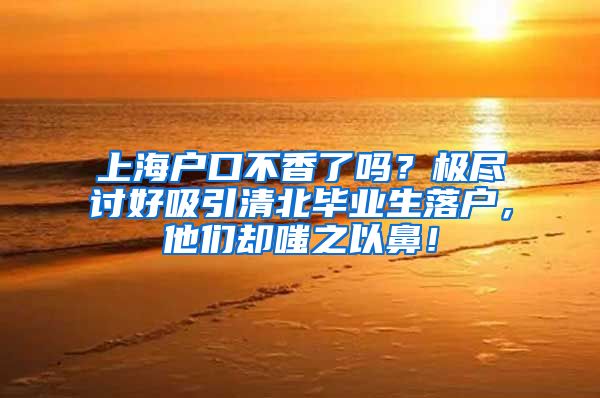 上海户口不香了吗？极尽讨好吸引清北毕业生落户，他们却嗤之以鼻！