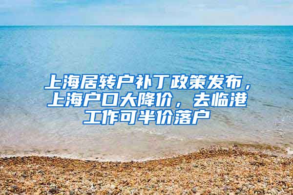 上海居转户补丁政策发布，上海户口大降价，去临港工作可半价落户