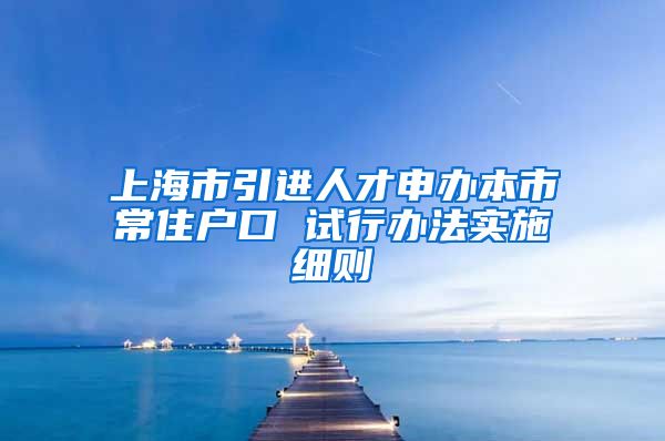 上海市引进人才申办本市常住户口 试行办法实施细则