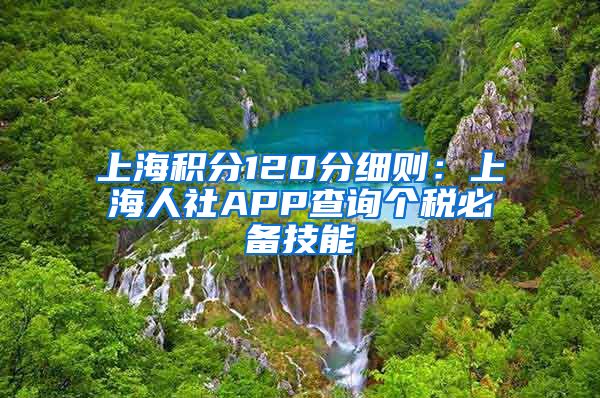 上海积分120分细则：上海人社APP查询个税必备技能