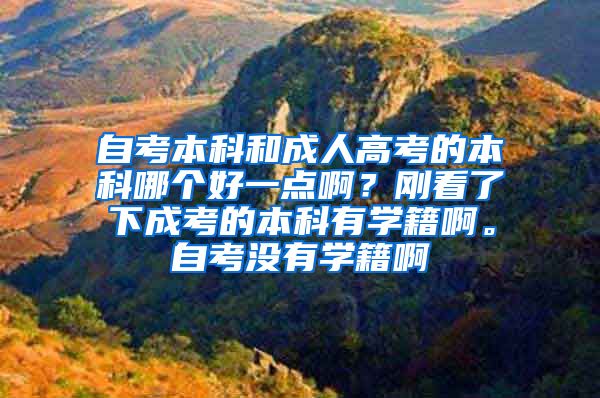 自考本科和成人高考的本科哪个好一点啊？刚看了下成考的本科有学籍啊。自考没有学籍啊