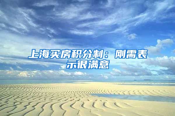 上海买房积分制：刚需表示很满意