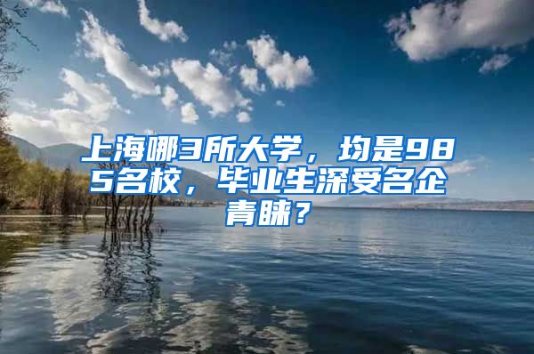 上海哪3所大学，均是985名校，毕业生深受名企青睐？