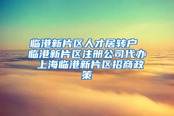 临港新片区人才居转户 临港新片区注册公司代办 上海临港新片区招商政策