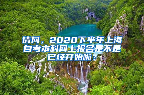 请问，2020下半年上海自考本科网上报名是不是已经开始啦？