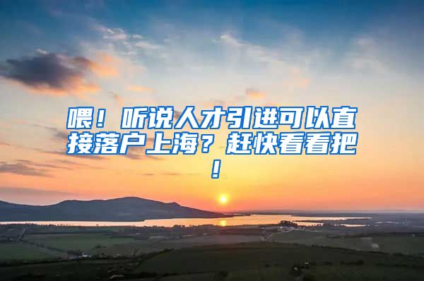 喂！听说人才引进可以直接落户上海？赶快看看把！