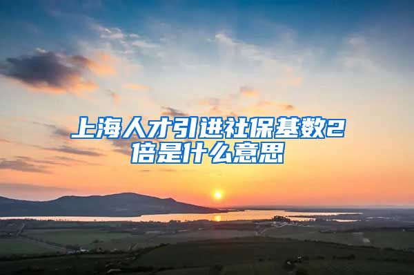 上海人才引进社保基数2倍是什么意思