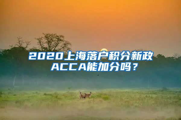 2020上海落户积分新政 ACCA能加分吗？