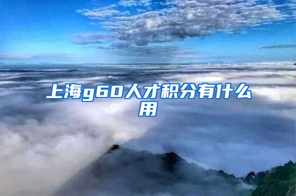 上海g60人才积分有什么用