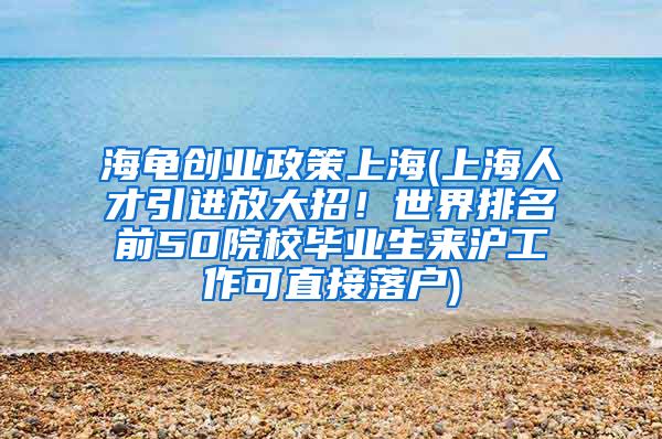 海龟创业政策上海(上海人才引进放大招！世界排名前50院校毕业生来沪工作可直接落户)