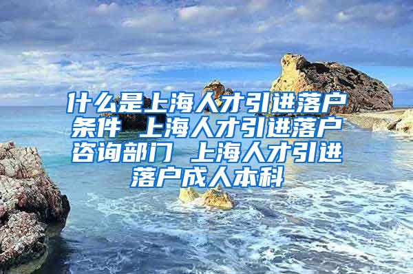 什么是上海人才引进落户条件 上海人才引进落户咨询部门 上海人才引进落户成人本科