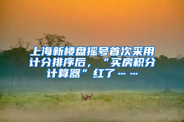 上海新楼盘摇号首次采用计分排序后，“买房积分计算器”红了……