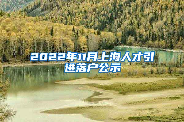 2022年11月上海人才引进落户公示