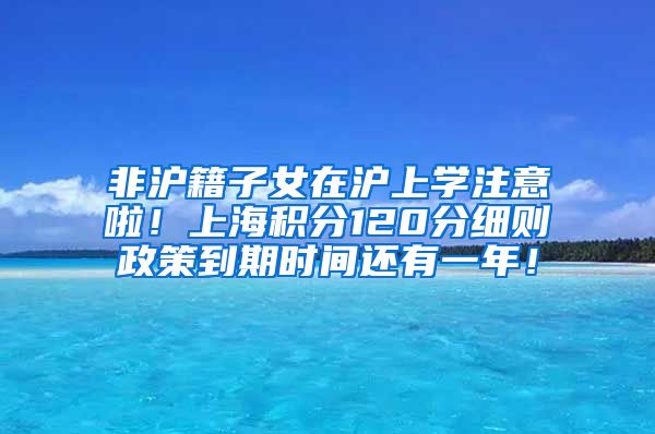 非沪籍子女在沪上学注意啦！上海积分120分细则政策到期时间还有一年！