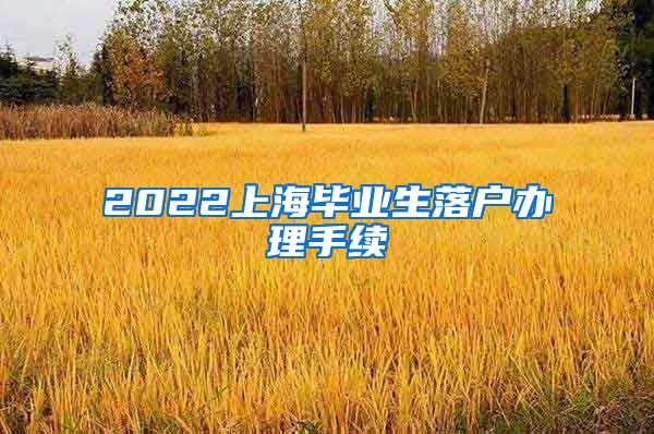 2022上海毕业生落户办理手续