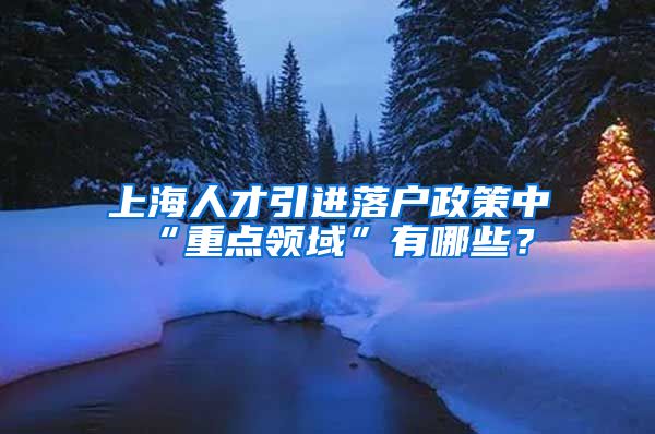 上海人才引进落户政策中“重点领域”有哪些？