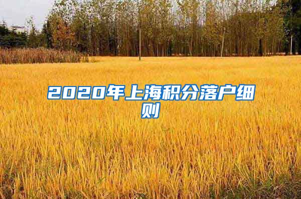 2020年上海积分落户细则