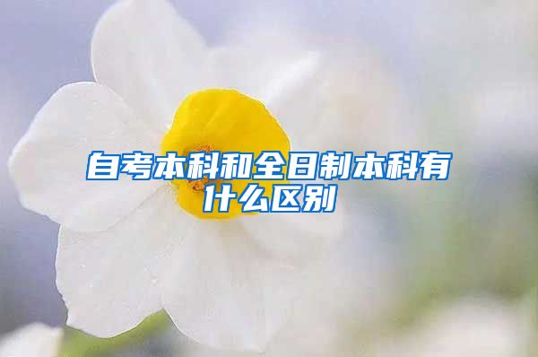 自考本科和全日制本科有什么区别