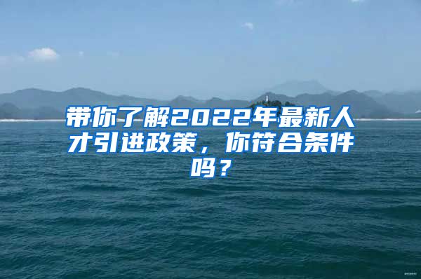 带你了解2022年最新人才引进政策，你符合条件吗？