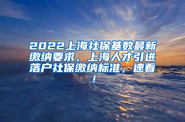 2022上海社保基数最新缴纳要求，上海人才引进落户社保缴纳标准，速看！