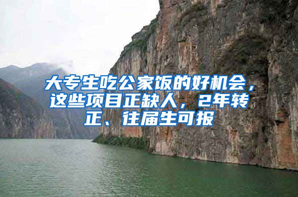 大专生吃公家饭的好机会，这些项目正缺人，2年转正、往届生可报