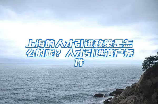 上海的人才引进政策是怎么的呢？人才引进落户条件