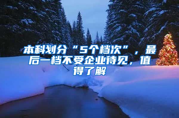 本科划分“5个档次”，最后一档不受企业待见，值得了解