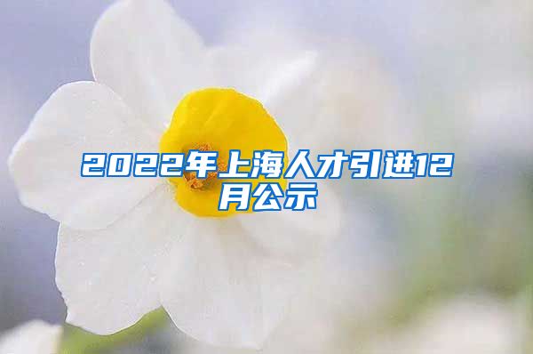 2022年上海人才引进12月公示