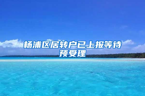 杨浦区居转户已上报等待预受理