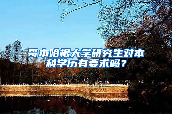 哥本哈根大学研究生对本科学历有要求吗？