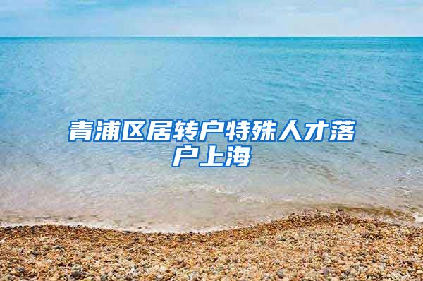 青浦区居转户特殊人才落户上海