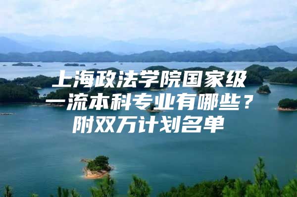 上海政法学院国家级一流本科专业有哪些？附双万计划名单