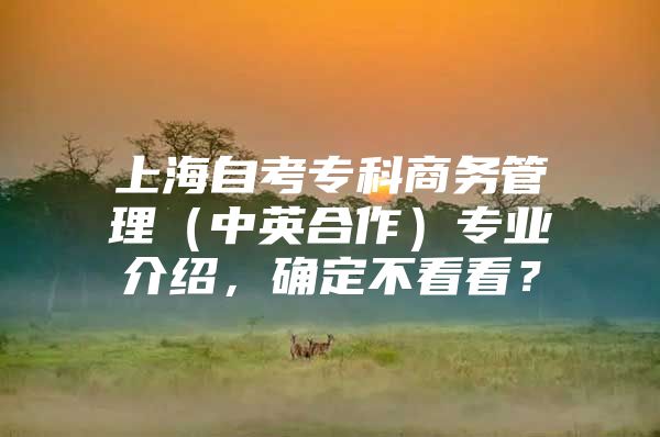 上海自考专科商务管理（中英合作）专业介绍，确定不看看？