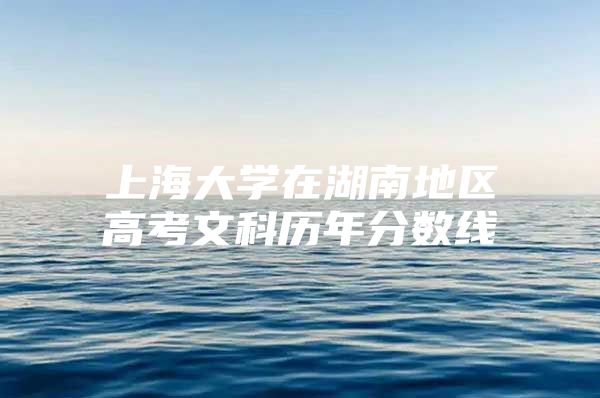 上海大学在湖南地区高考文科历年分数线