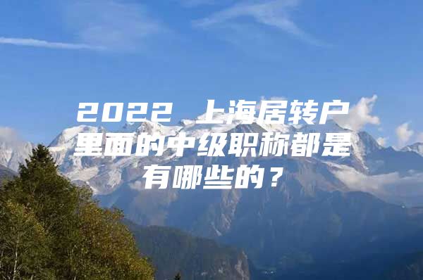 2022 上海居转户里面的中级职称都是有哪些的？