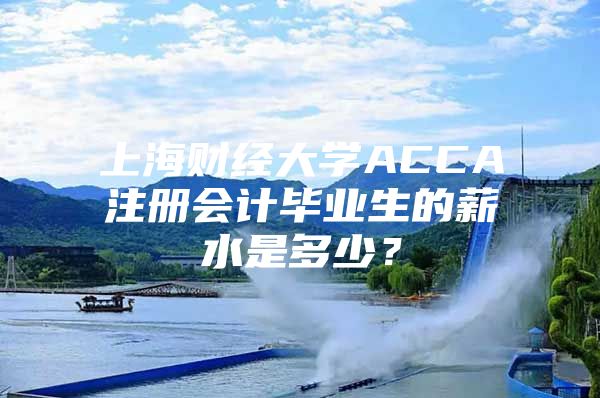 上海财经大学ACCA注册会计毕业生的薪水是多少？