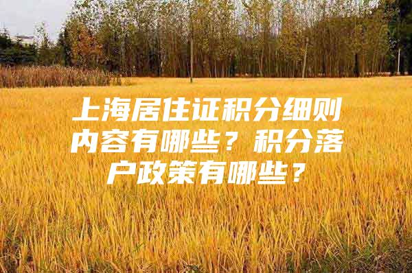 上海居住证积分细则内容有哪些？积分落户政策有哪些？