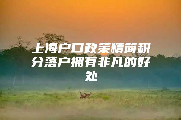 上海户口政策精简积分落户拥有非凡的好处