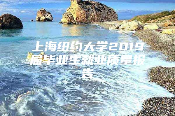 上海纽约大学2019届毕业生就业质量报告