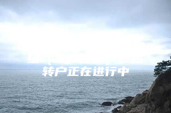 浦东，7年+经济师中级（工商管理），居转户正在进行中