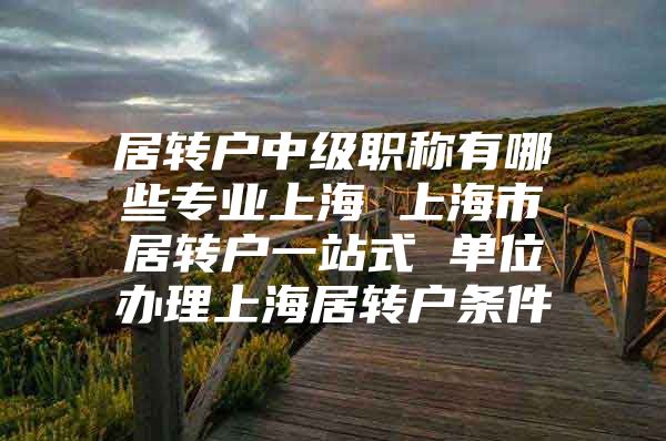 居转户中级职称有哪些专业上海 上海市居转户一站式 单位办理上海居转户条件