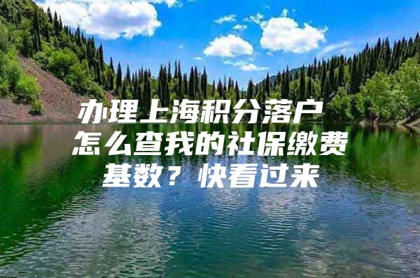 办理上海积分落户 怎么查我的社保缴费基数？快看过来→