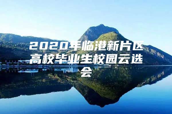 2020年临港新片区高校毕业生校园云选会