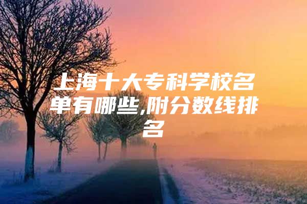 上海十大专科学校名单有哪些,附分数线排名