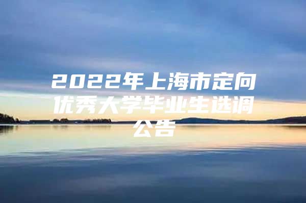 2022年上海市定向优秀大学毕业生选调公告