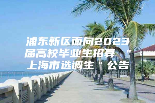 浦东新区面向2023届高校毕业生招募 ＂上海市选调生＂公告